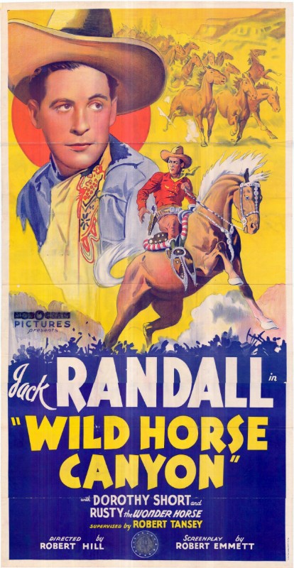 Repro 30x40cm - WILD HORSE CANYON - U.S.