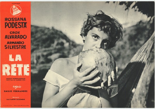 Repro 30x40cm - RED (la) - Italienne