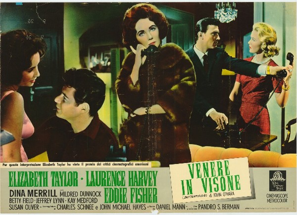 Affiche - VENUS AU VISON - 47x66cm