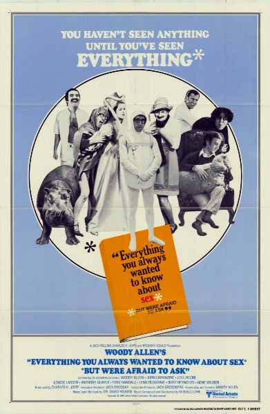 Affiche - TOUT CE QUE VOUS AVEZ TOUJOURS... - 70x105cm