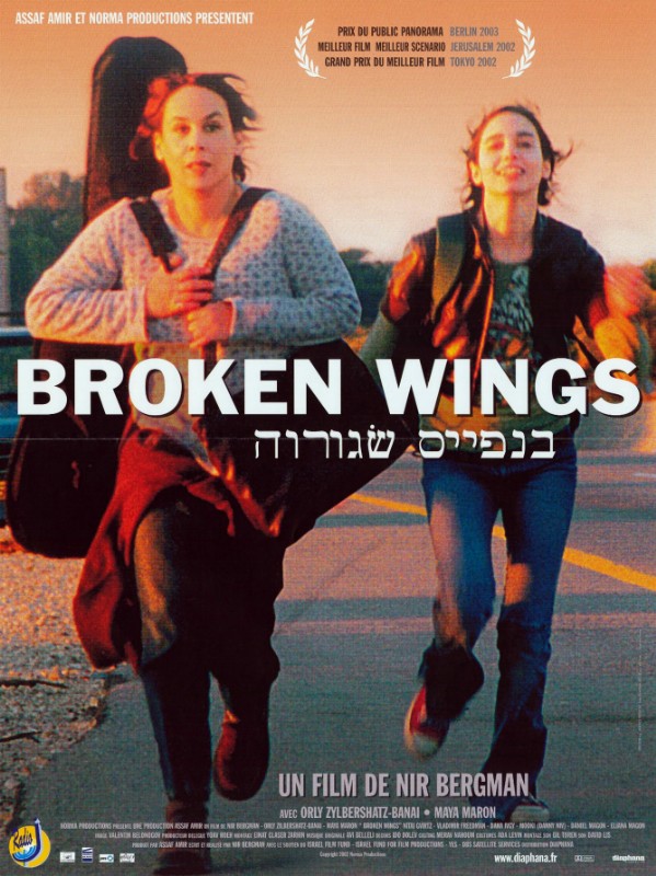 Affiche - BROKEN WINGS - 40x55cm