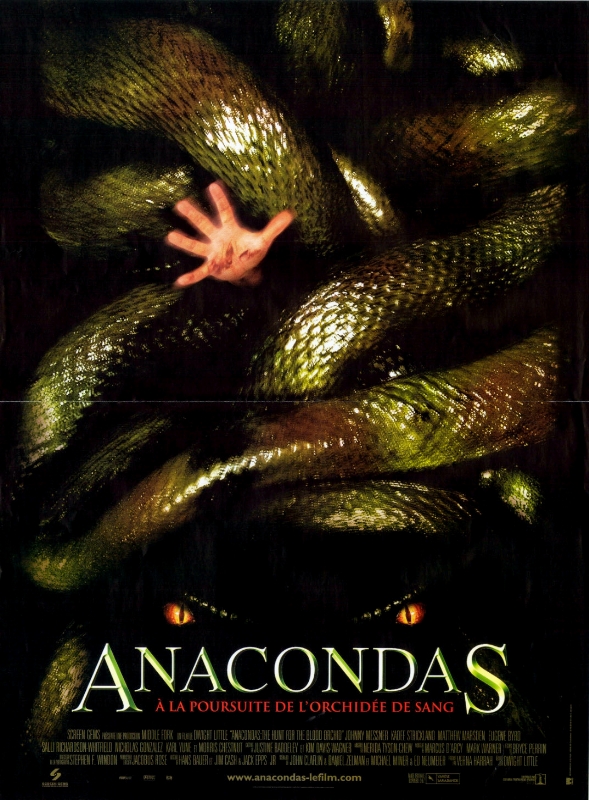 Affiche - ANACONDAS - 40x55cm