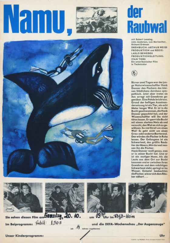 Affiche - NAMU THE KILLER WHALE - 40x55cm