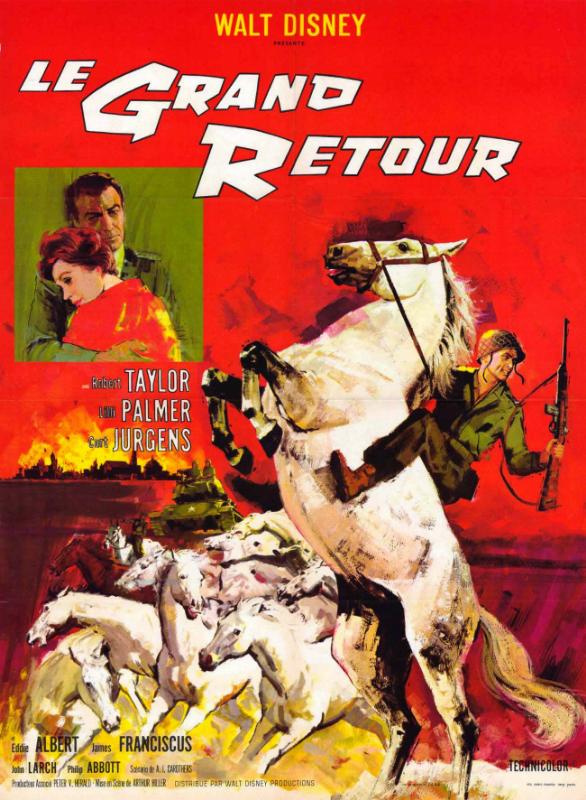 Repro 30x40cm - GRAND RETOUR (le) - Française