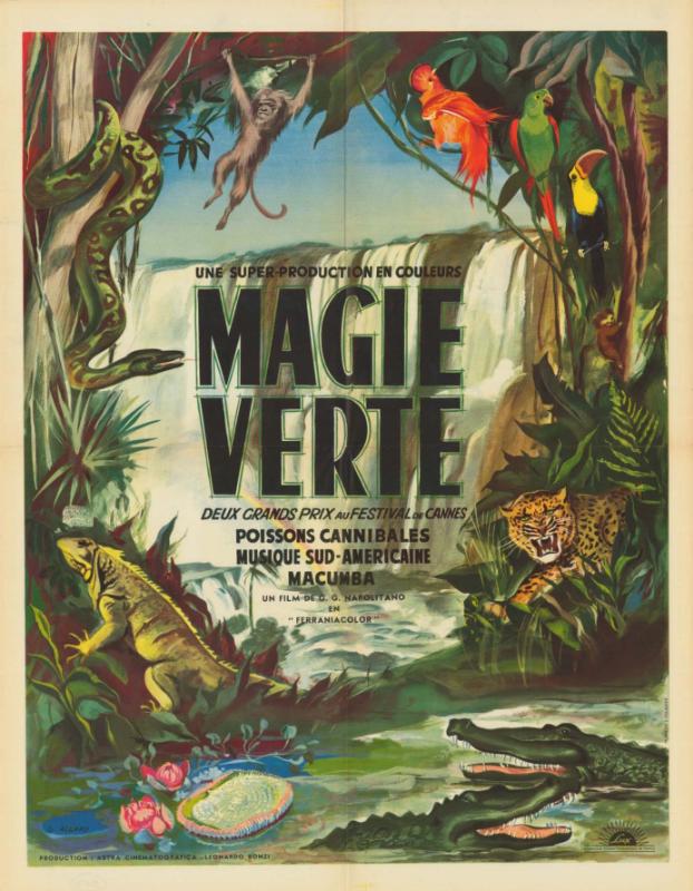 Repro 30x40cm - MAGIE VERTE - Française