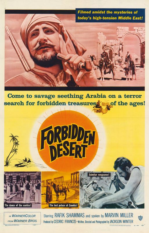 Affiche - FORBIDDEN DESERT - 70x105cm
