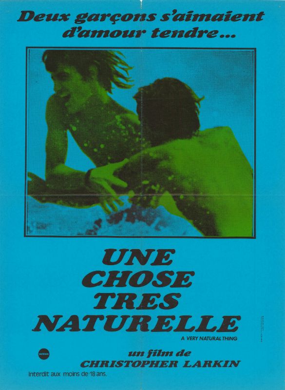 Affiche - UNE CHOSE TRES NATURELLE - 60x80cm