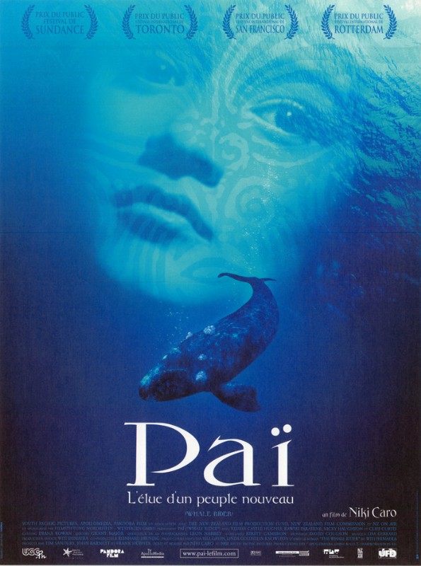 Affiche - PAI - 40x55cm