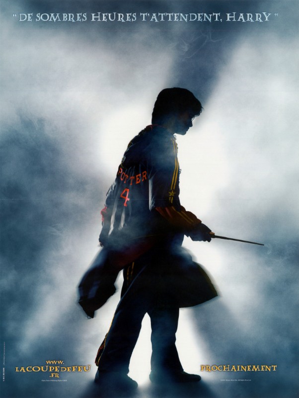 Affiche - HARRY POTTER ET LA COUPE DE FEU - 40x55cm