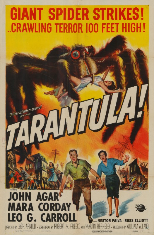 Repro 30x40cm - TARENTULA - U.S.