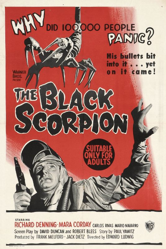 Repro 30x40cm - SCORPION NOIR (le) - U.S.