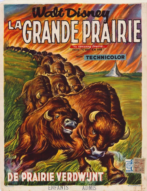 Affiche - GRANDE PRAIRIE (la) - 36x56cm
