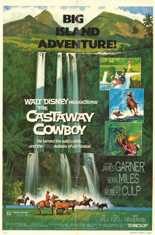Affiche - CASTAWAY COWBOY (the) - 70x105cm