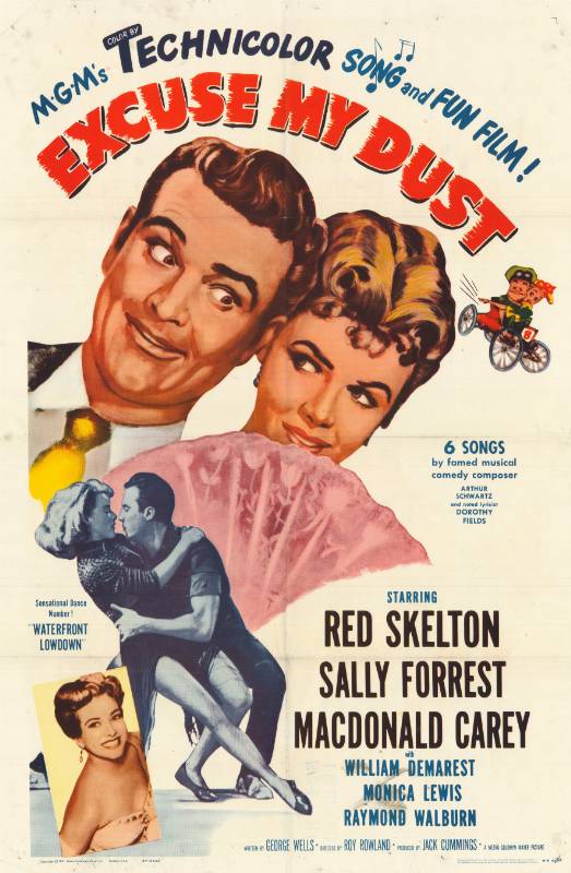 Affiche - EXCUSE MY DUST - 70x105cm