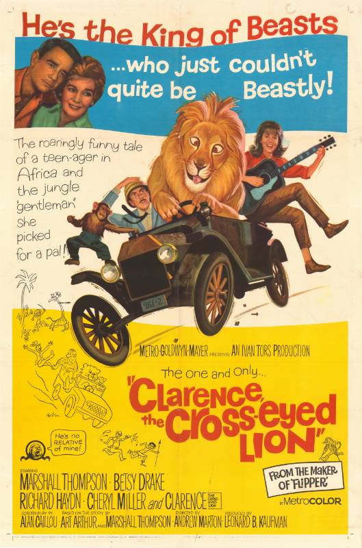 Affiche - CLARENCE THE CROSS-EYED LION - 70x105cm