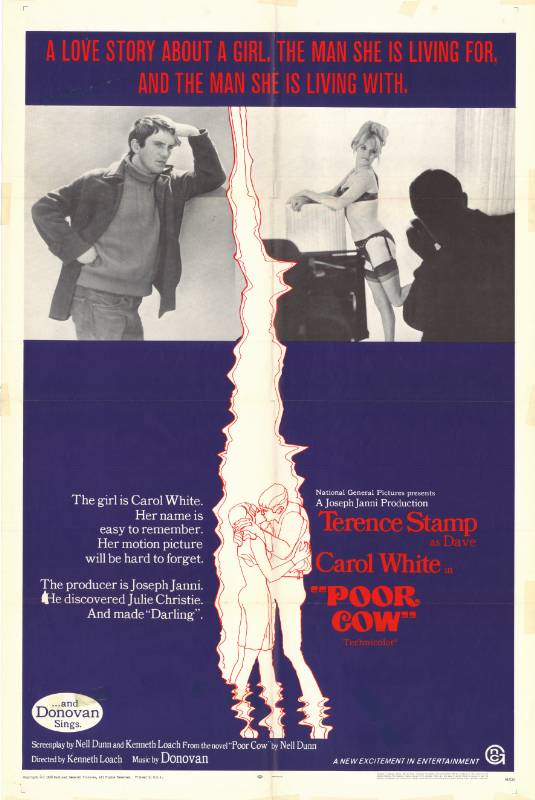 Affiche - POOR COW - 70x105cm