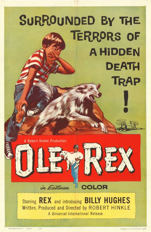 Affiche - OLE REX - 70x105cm