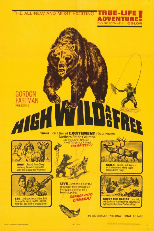 Affiche - HIGH WILD AND FREE - 70x105cm
