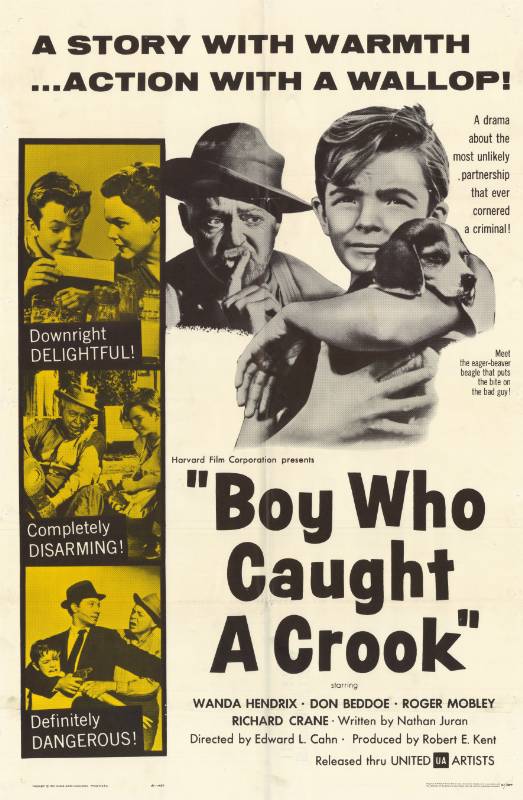 Affiche - BOY WHO CAUGHT A CROOK (the) - 70x105cm