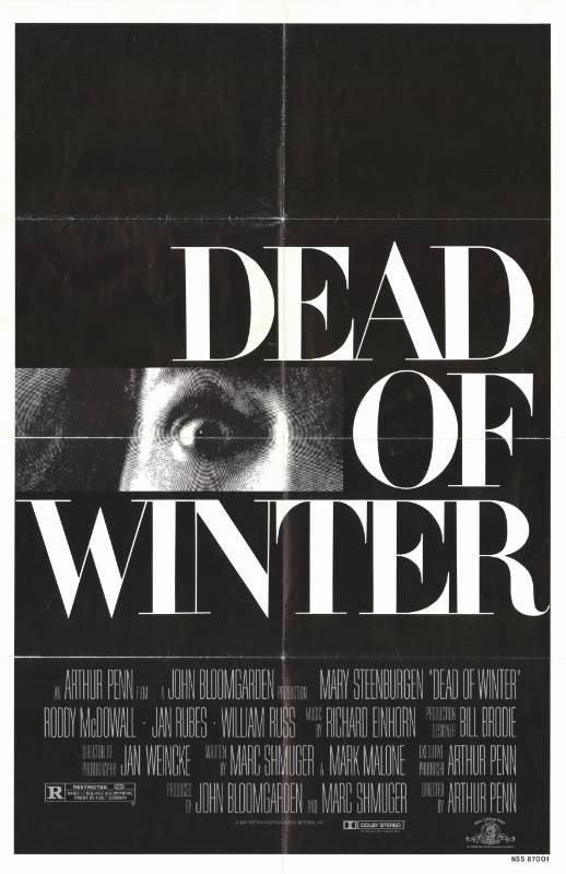 Affiche - FROID COMME LA MORT - 70x105cm