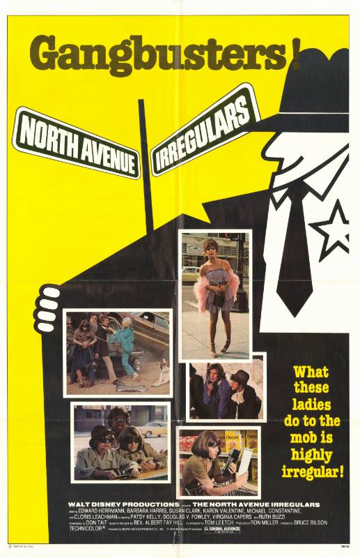 Affiche - NORTH AVENUE IRREGULARS (the) - 70x105cm