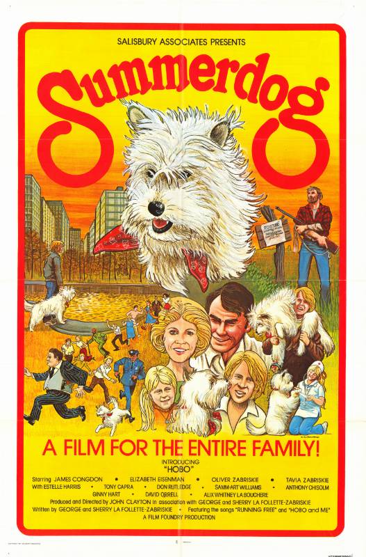 Affiche - SUMMERDOG - 70x105cm
