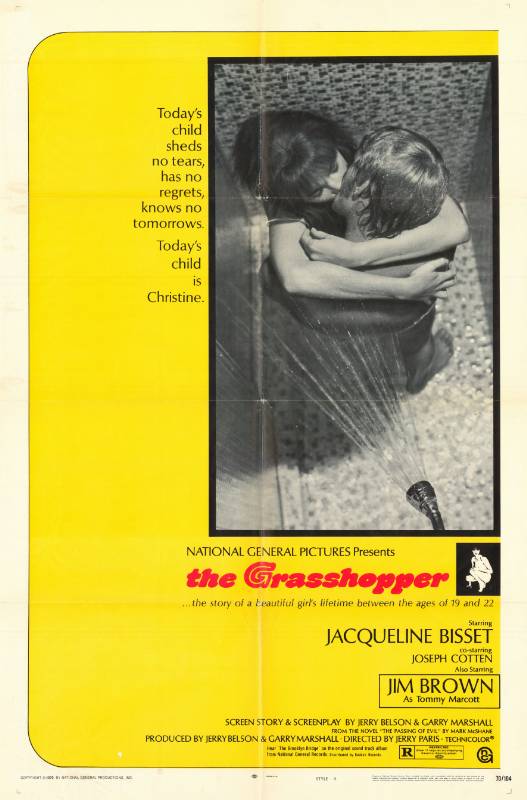 Affiche - GRASSHOPPER (the) - 70x105cm