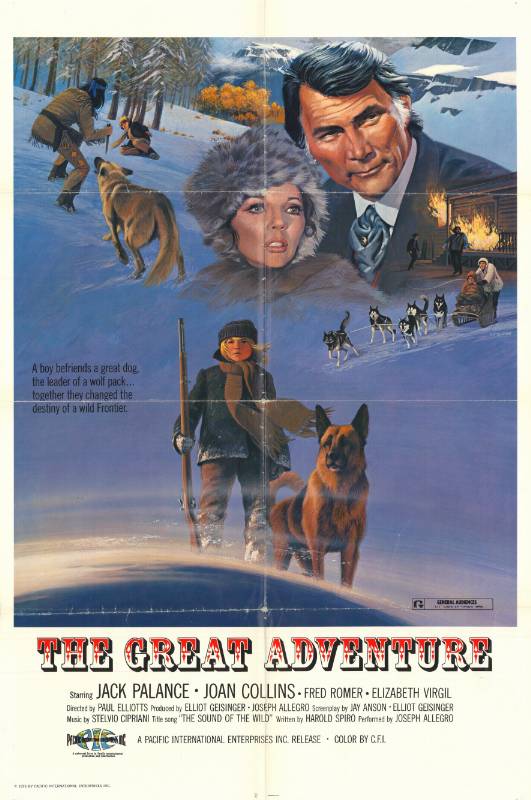 Affiche - RICHIAMO DEL LUPO (il) - 70x105cm