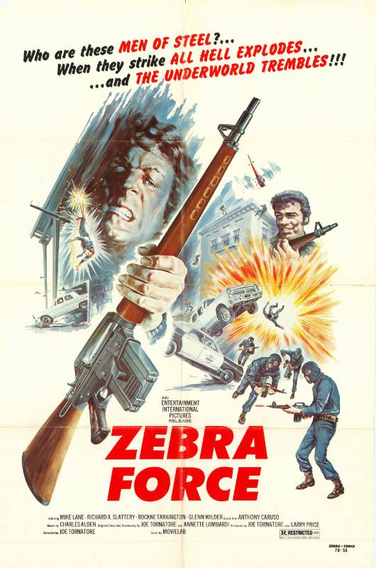 Affiche - ZEBRA FORCE - 70x105cm