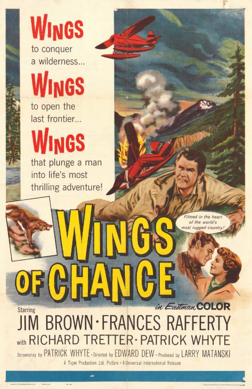 Repro 30x40cm - WINGS OF CHANCE - U.S.