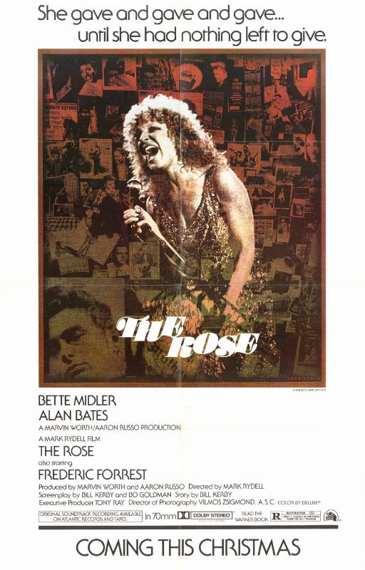 Affiche - ROSE (the) - 50x70cm