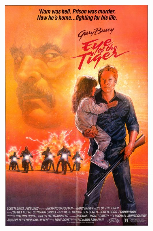 Affiche - JUSTICIER MALGRE LUI - 70x105cm