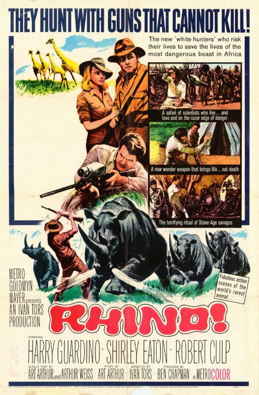 Affiche - SUR LA PISTE DU RHINOCEROS BLANC - 70x105cm