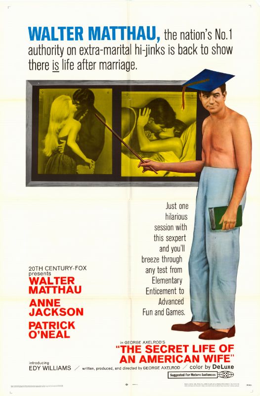 Affiche - SECRET LIFE OF AN AMERICAN WIFE (the) - 70x105cm