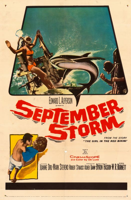 Affiche - SEPTEMBER STORM - 70x105cm