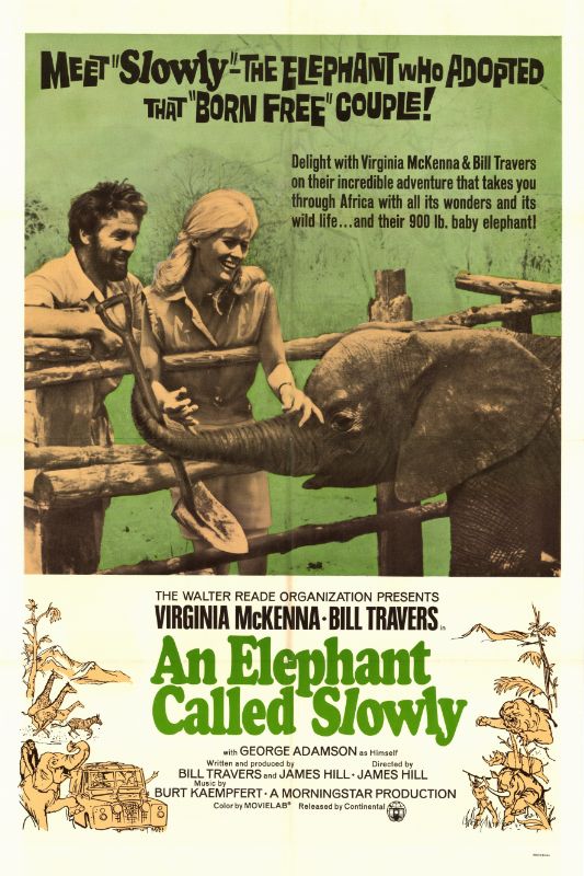Affiche - ELEPHANT CALLED SLOWLY (an) - 70x105cm