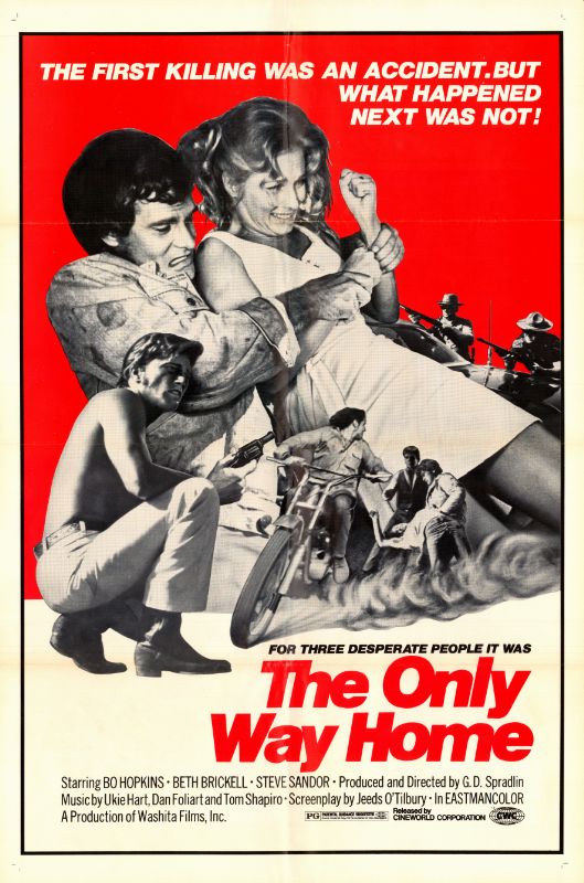 Affiche - ONLY WAY HOME (the) - 70x105cm