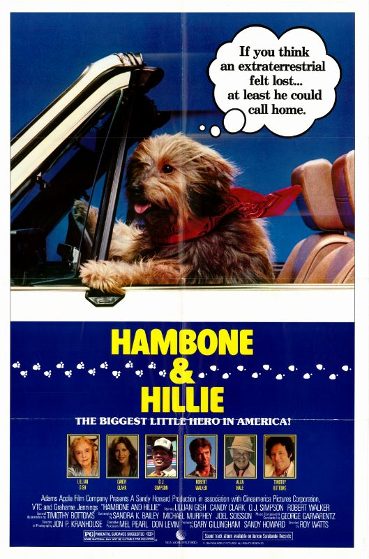 Affiche - HAMBONE AND HILLIE - 70x105cm