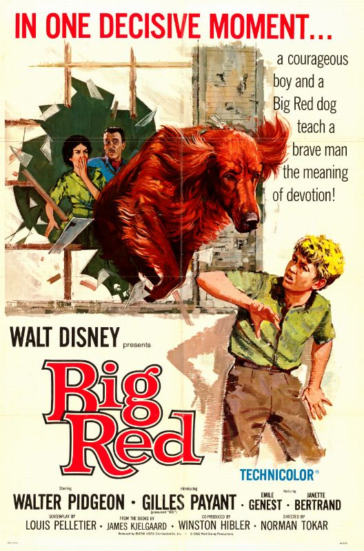 Affiche - COMPAGNONS D'AVENTURE - 70x105cm