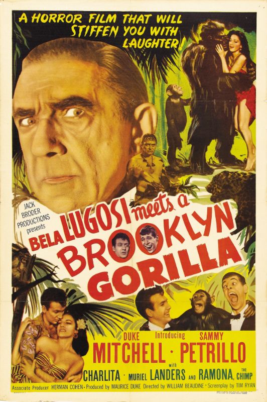 Repro 30x40cm - BELA LUGOSI MEETS A BROOKLYN GORILLA - U.S.