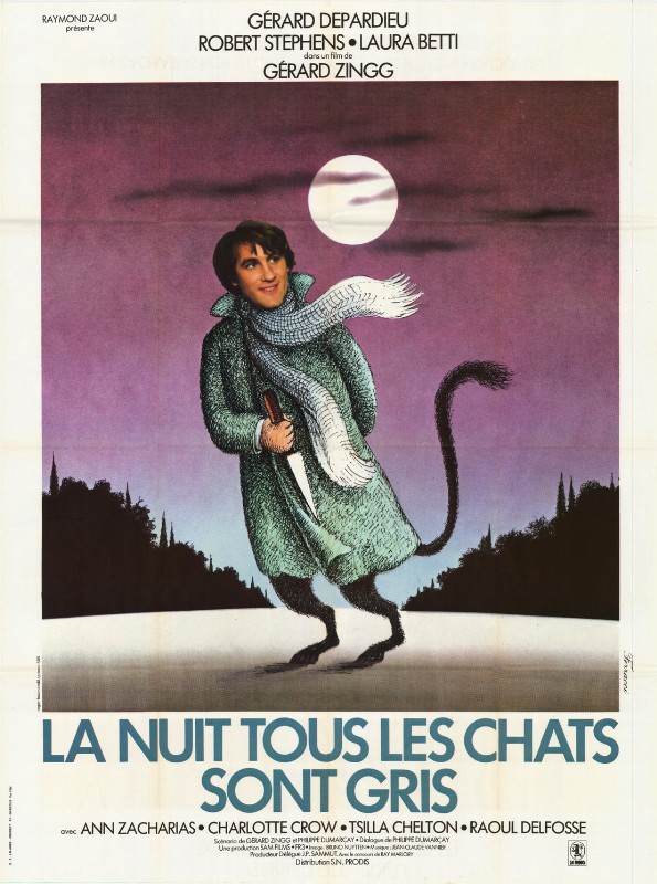 Affiche - NUIT TOUS LES CHATS SONT GRIS (la) - 120x160cm