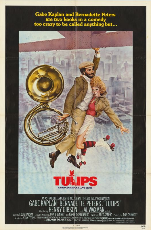 Affiche - TULIPS - 70x105cm