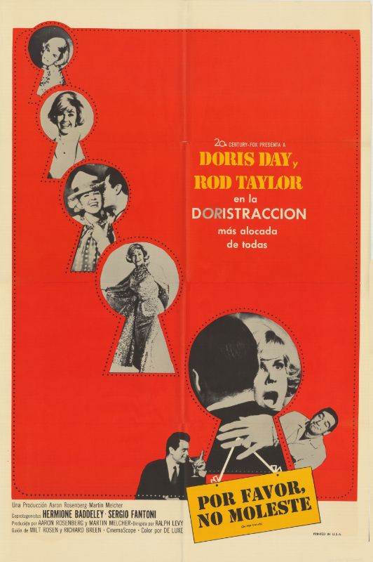Affiche - DO NOT DISTURB - 70x105cm