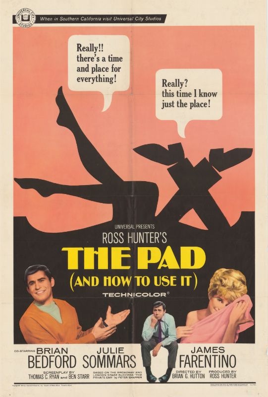 Affiche - PAD (AND HOW TO USE IT) (the) - 70x105cm