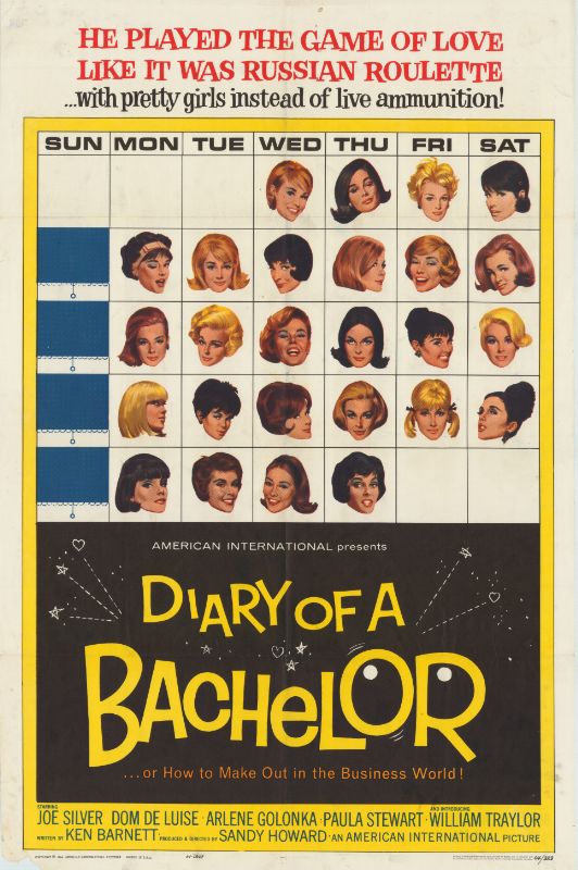 Affiche - DIARY OF A BACHELOR - 70x105cm