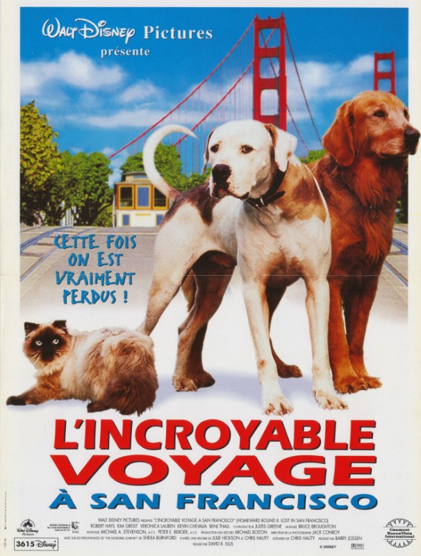 Affiche - INCROYABLE VOYAGE (l') - 40x55cm