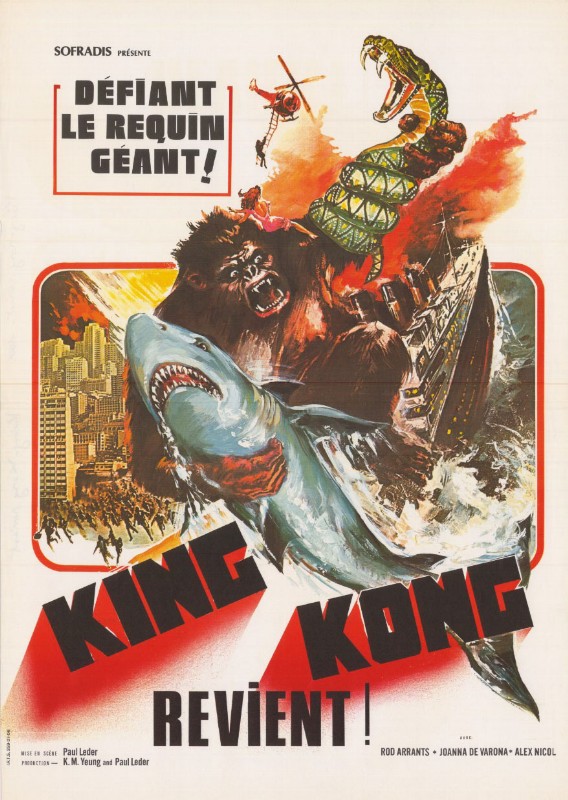 Repro 30x40cm - KING KONG REVIENT - Française