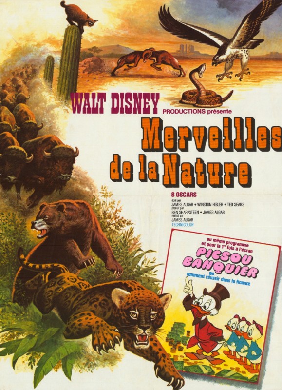 Affiche - MERVEILLES DE LA NATURE - 40x55cm