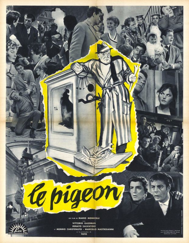 Affiche - PIGEON (le) - 60x80cm