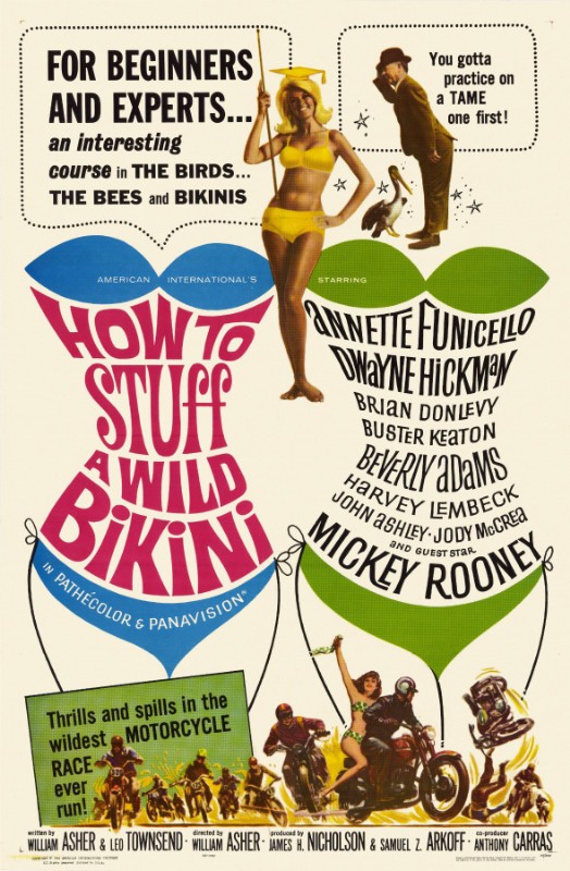 Repro 30x40cm - HOW TO STUFF A WILD BIKINI - U.S.